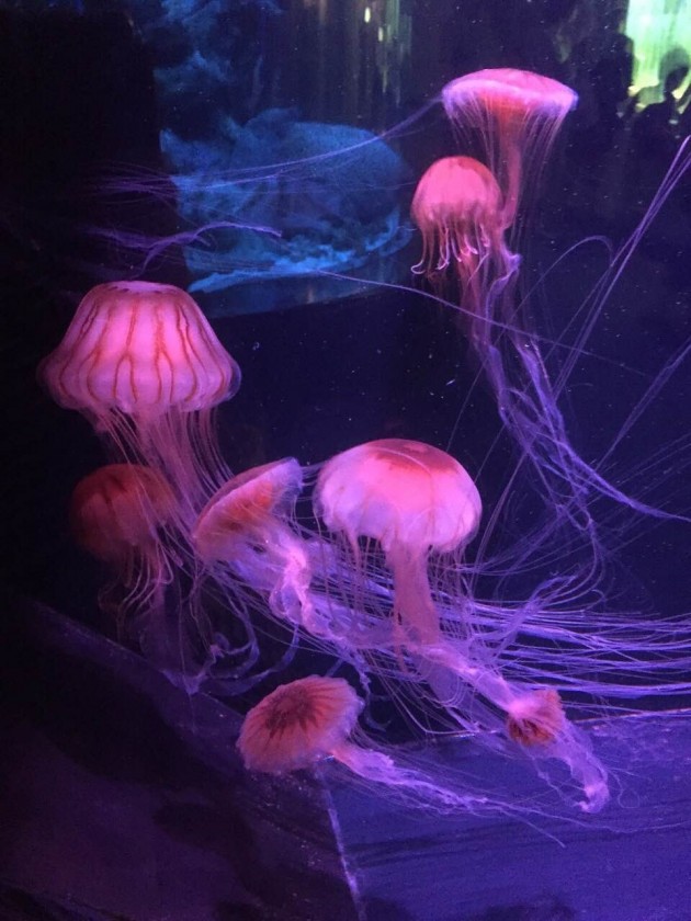 はじめまして平田です！！