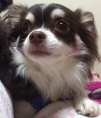 Where there’s a will, there’s a way.