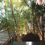 t01500150_0150015013559191838