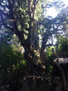 t02200293_0480064013595515546