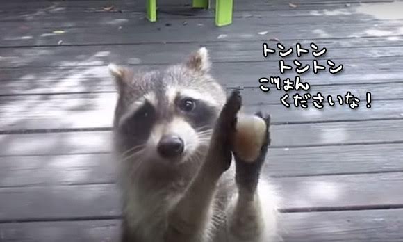 緊張の初顔合わせ