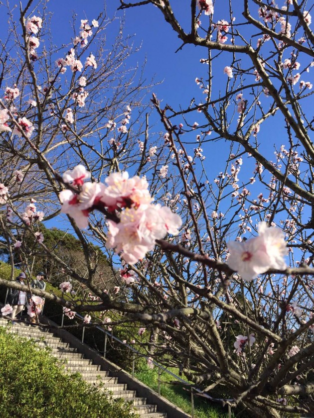 新年度START！！！！！