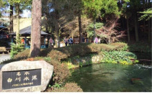 t02200136_0641039713618690308