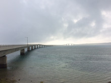 t02200165_0640048013626440471