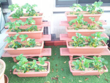 t02200165_0800060013620766261