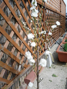 t02200293_0480064013620766257