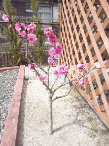 t02200293_0800106713620766259