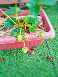 t02200293_0800106713620766260