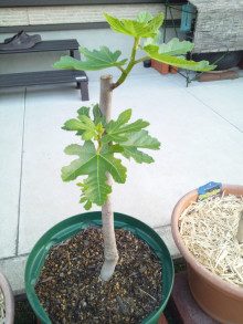 t02200293_0800106713620766729