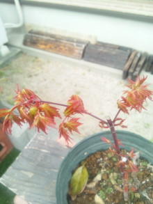 t02200293_0800106713620767253