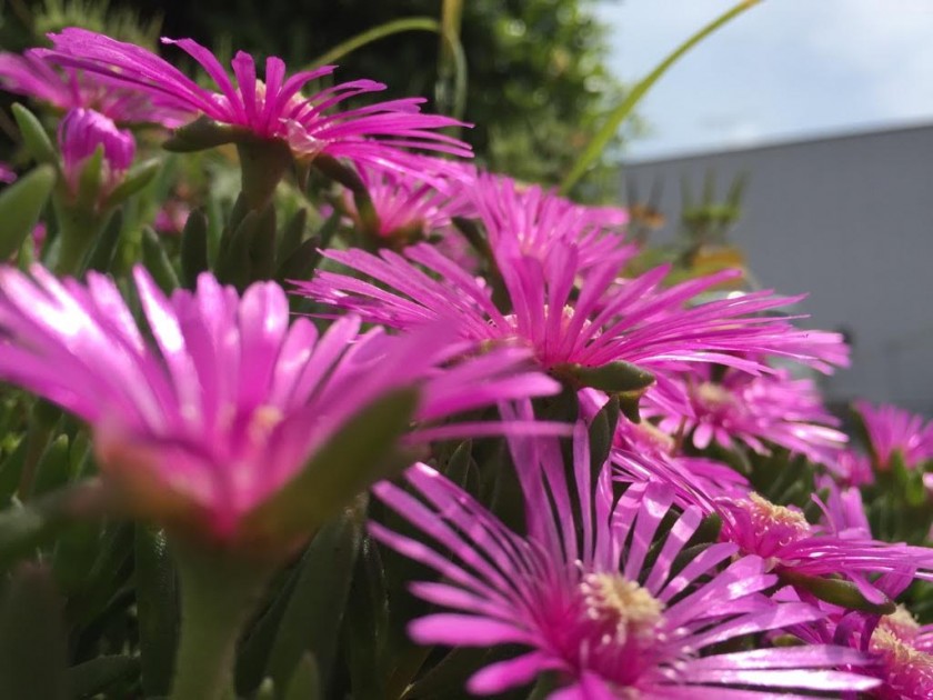 半年に３回！！