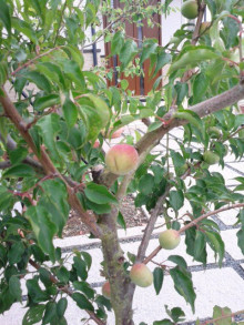 t02200293_0480064013692315381