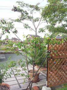 t02200293_0800106713692315385