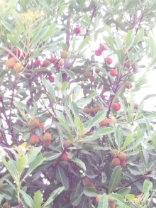 t02200293_0800106713692316034