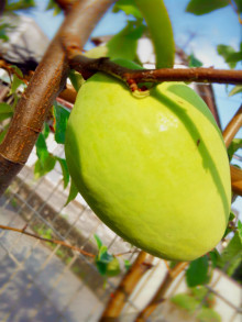 t02200293_0800106713692316035