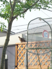 t02200293_0800106713692316036