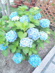 t02200293_0800106713692327096