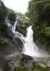 t01700240_0170024013727318660