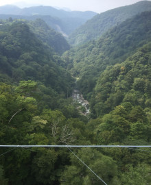 t02200270_2192269513738715313