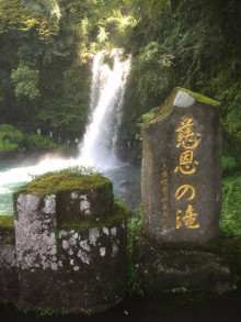 t02200293_2313308413738704100