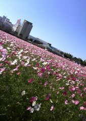 o0170024013787469080