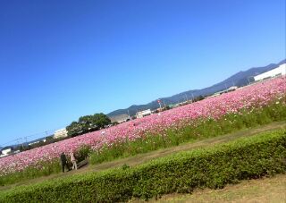 o0320022713787468199