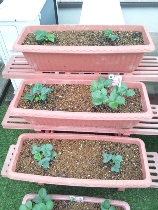 %e4%b8%ad%e5%9c%92%e3%80%80%e2%91%a2