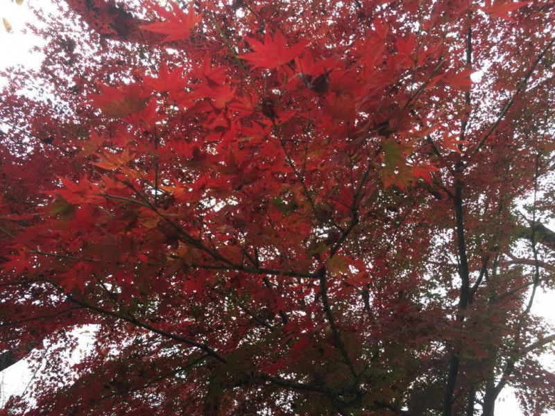 o1024076813824848055