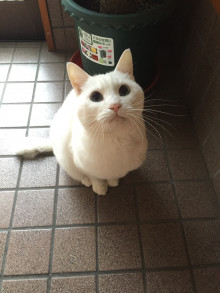 3泊4日　inグアム