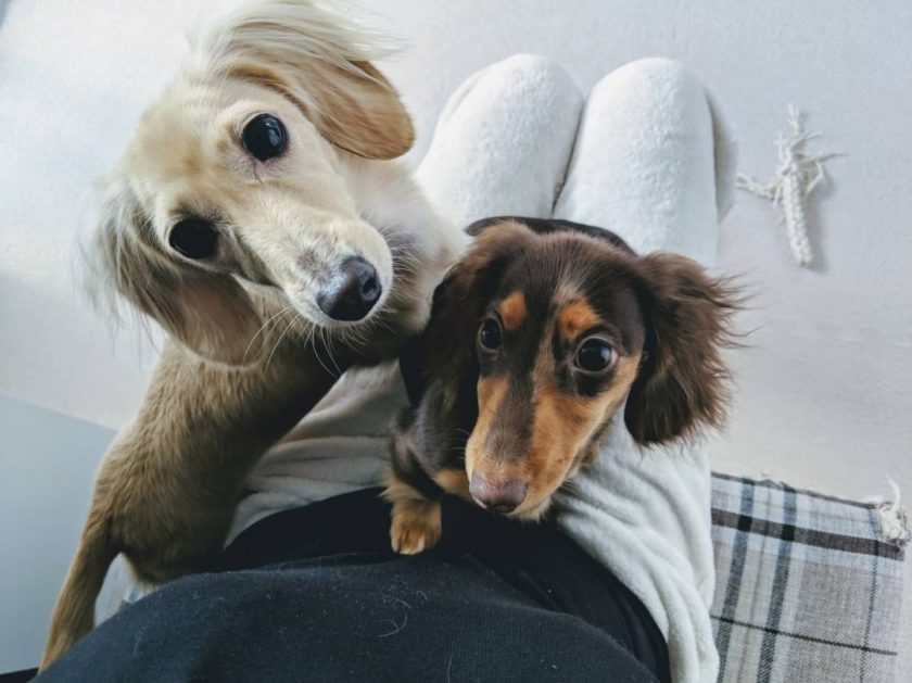 誰もが矛盾を抱えながら生きてるんだよ