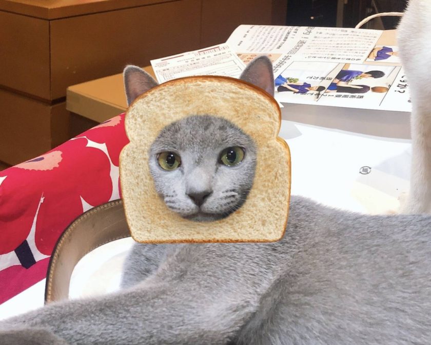 せぶのおもひで【season2】