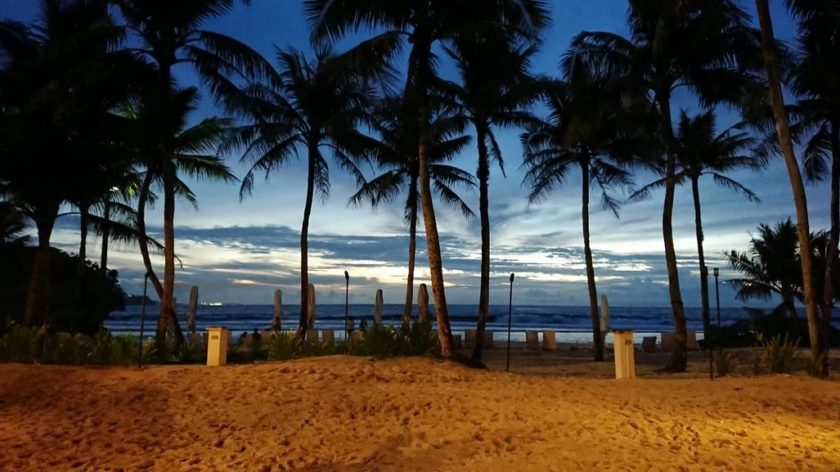 チーム紫垣、新メンバー加入♪