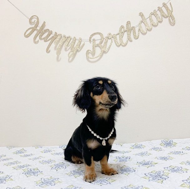 Happy first Birthday，my sweetie♡