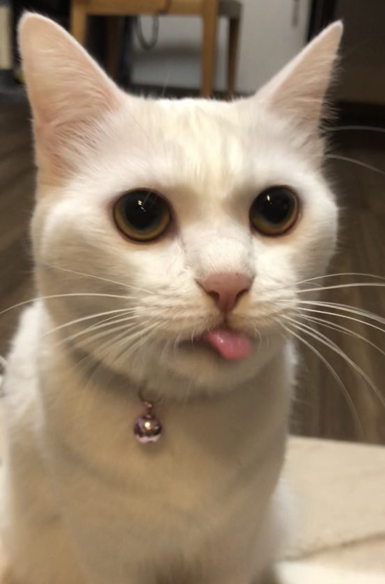 人はこれって時にどうしても 「時間を戻せたら」とかいうね