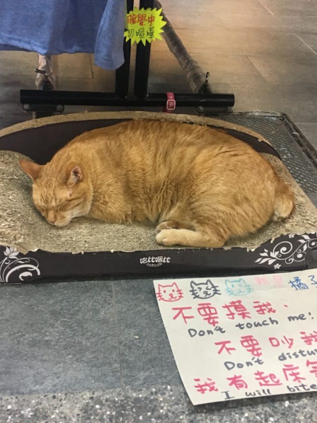 読めないけれど、奥が深いやつ