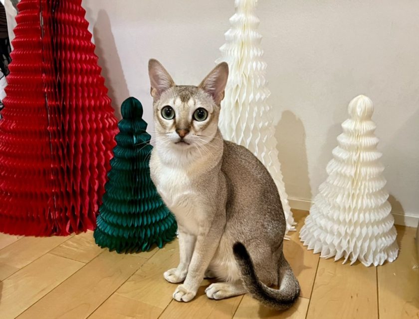 取引先界のレジェンド（自称）・廣川さんという生き物について