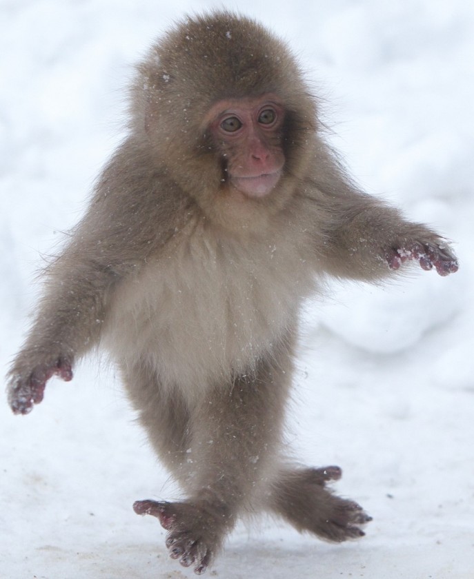 とある営業マンの手記　〜僕の夏休み〜