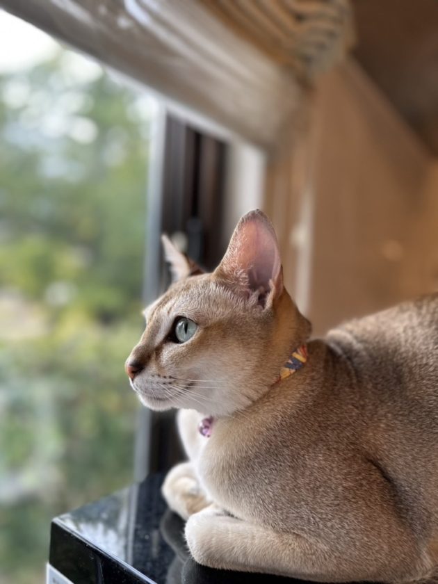 泣かないで。俺達の明日誰にも渡さない。