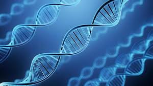 遺伝子検査をしたよ