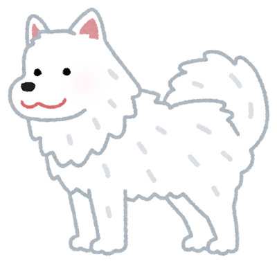 小さな体験と癒しの時間