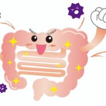 腸活について（結構長編です）
